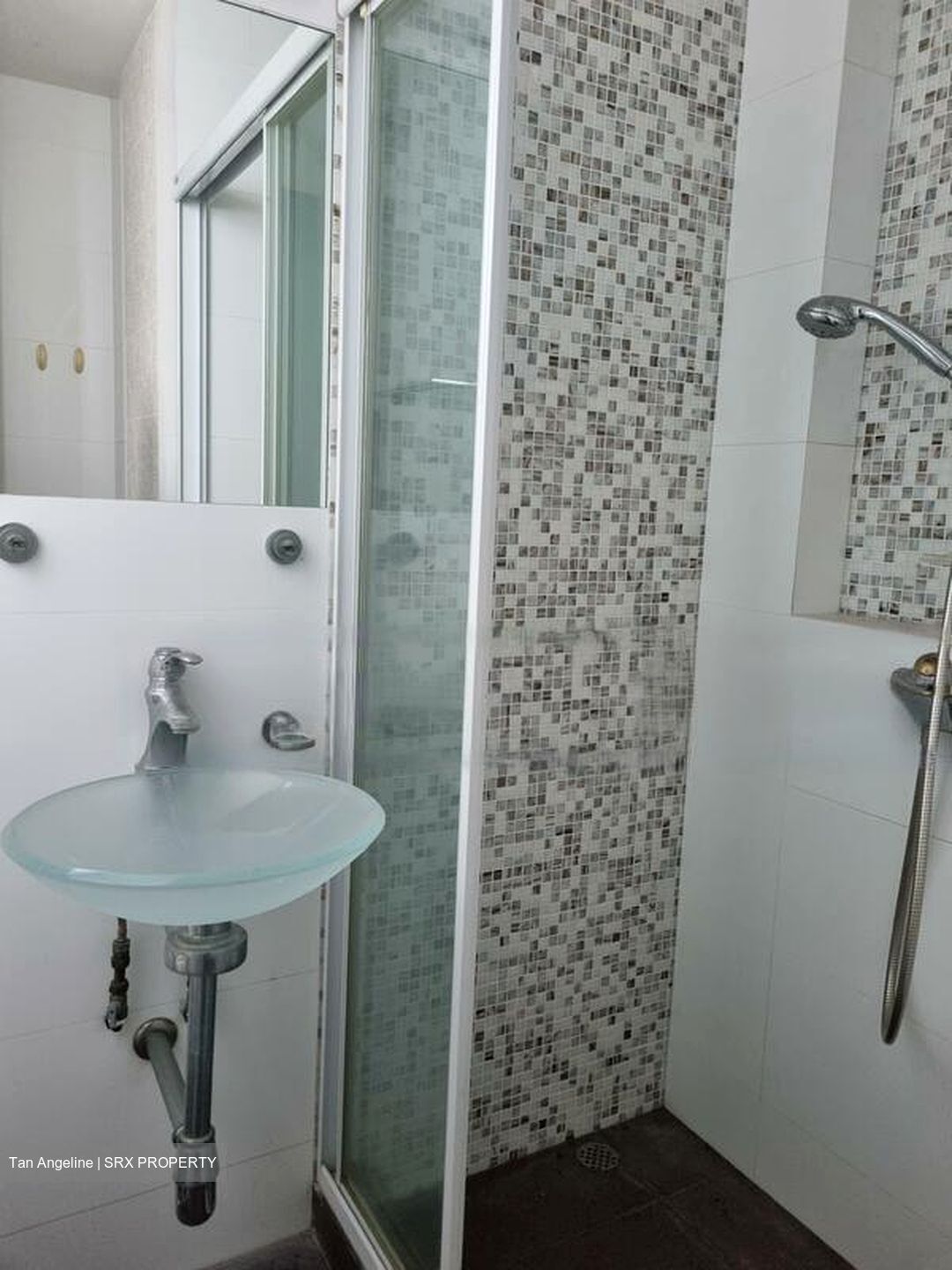 Parc Oasis (D22), Condominium #525054721